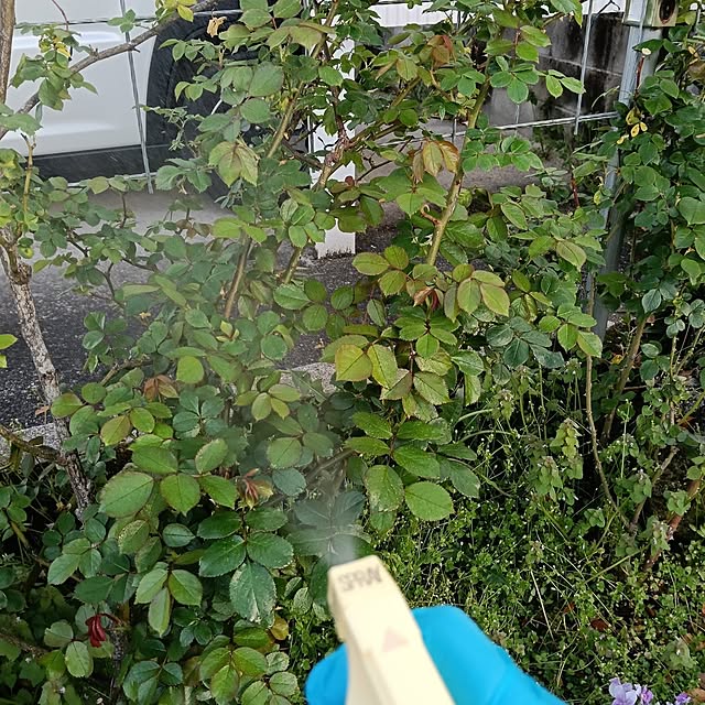 sumimarumiさんの部屋