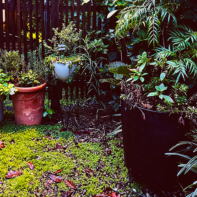 chacoさんの部屋