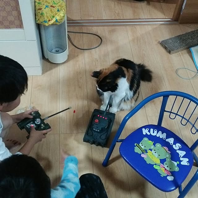kiyohima229さんの実例写真
