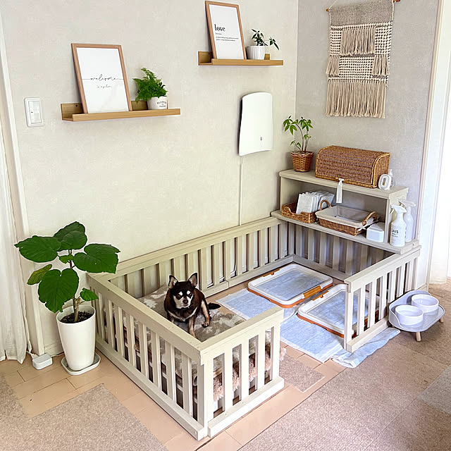 yumimaruさんの部屋