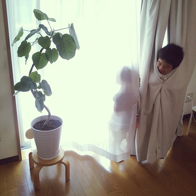 minnさんの実例写真