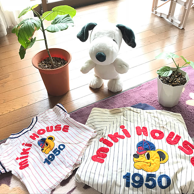 miporinさんの実例写真