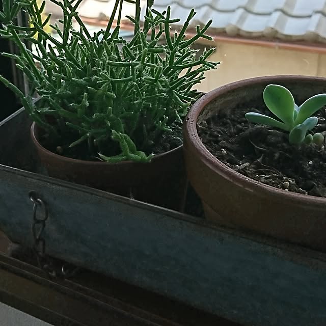 Kさんの実例写真