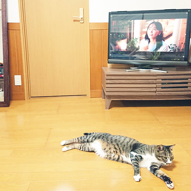 nachiさんの実例写真