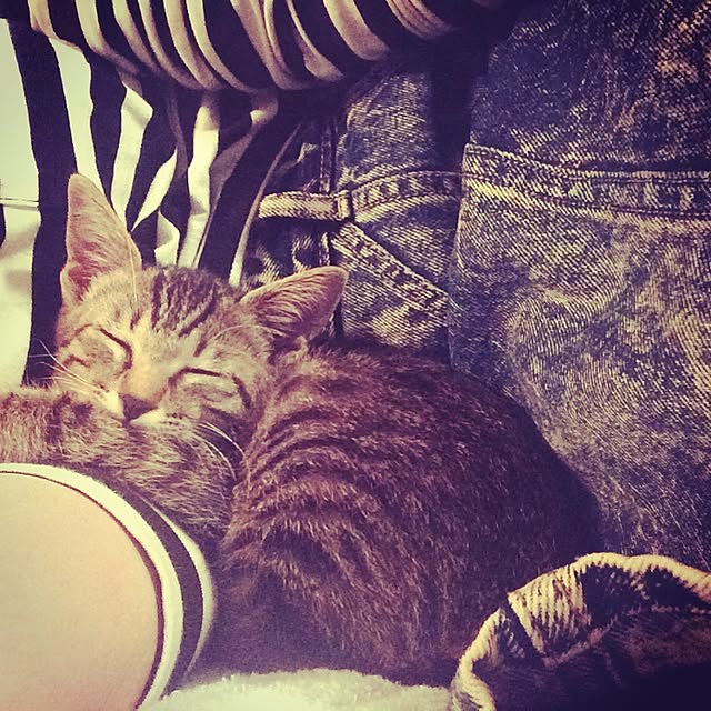 teteさんの実例写真