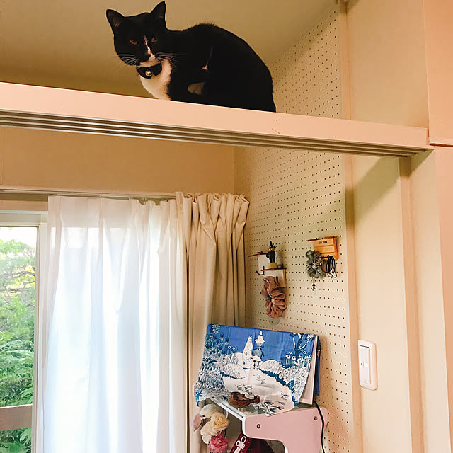 harukaさんの実例写真