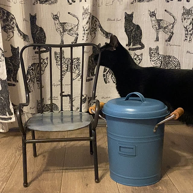 butachanさんの実例写真