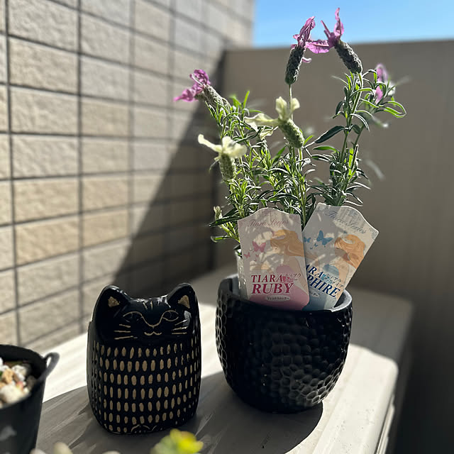 kittyさんの部屋