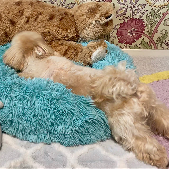 miyuさんの部屋