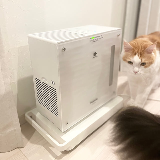 ukoさんの実例写真