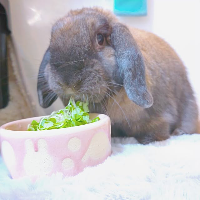 mariaさんの実例写真