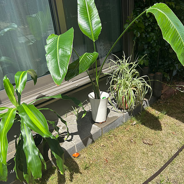 miukiさんの部屋