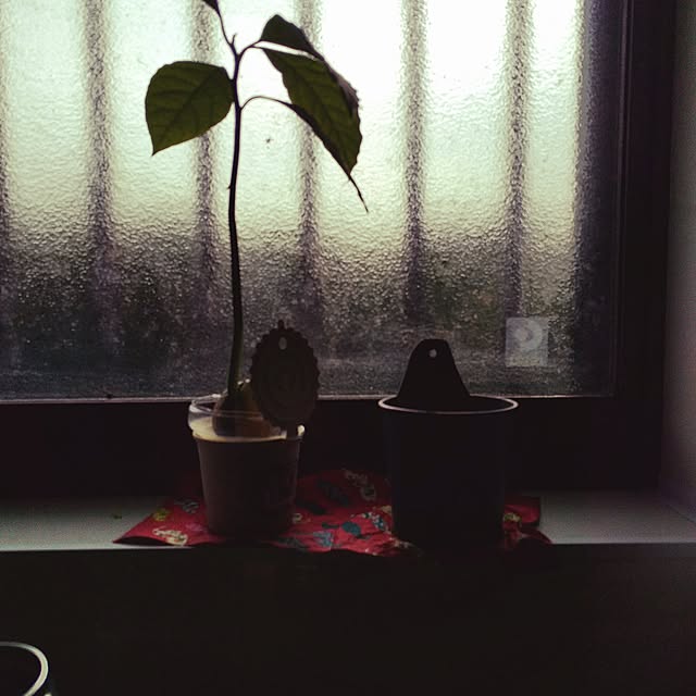 higemanさんの実例写真