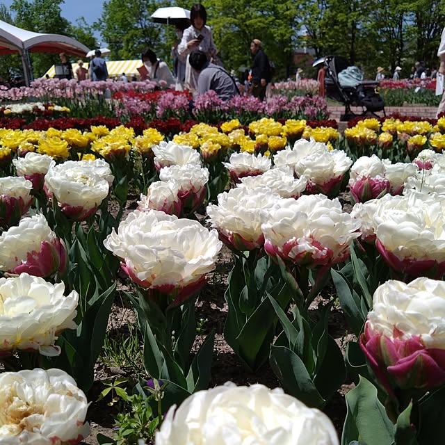 chiiyanさんの部屋