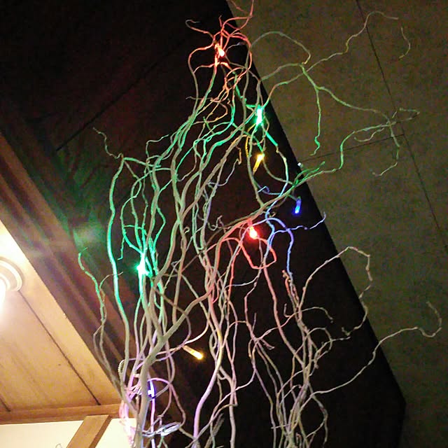 yumemiruotomeさんの実例写真