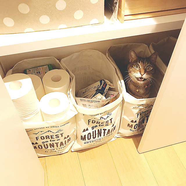 lovecatさんの実例写真