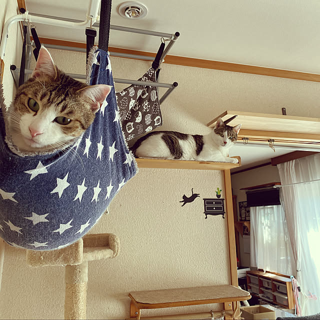 Lufuさんの実例写真