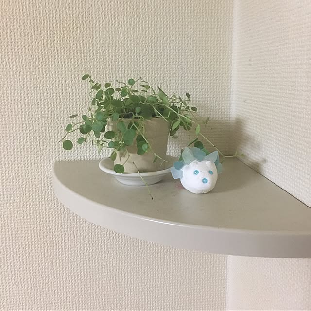 kojiro120513さんの実例写真