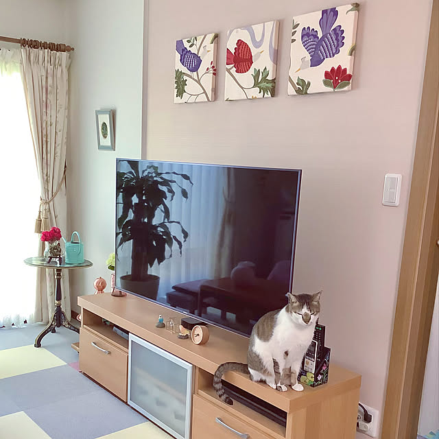 haruminさんの実例写真