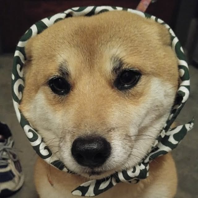 nanaさんの部屋