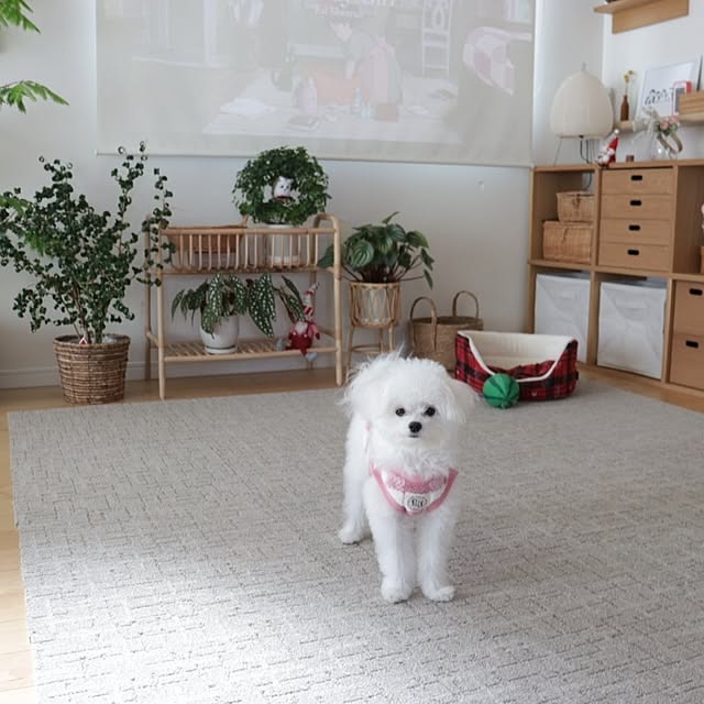 manaさんの実例写真