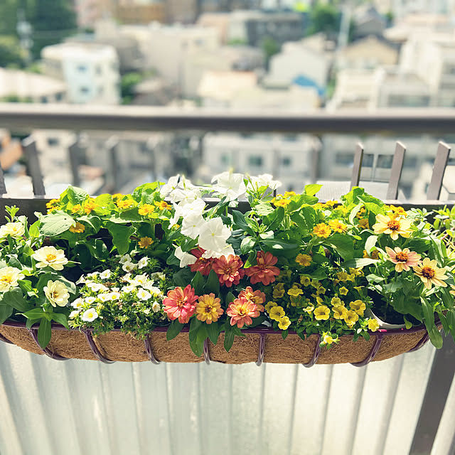 yukakoume092さんの実例写真