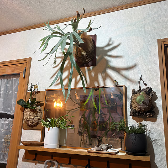 CoffeeHouseさんの実例写真