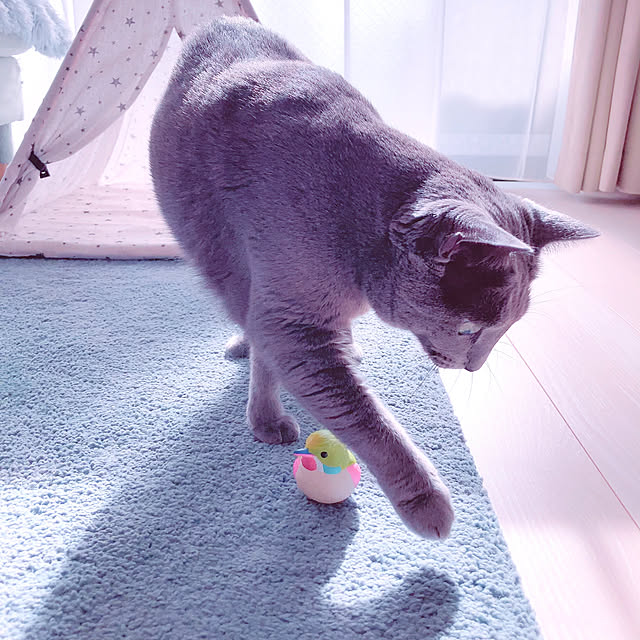 snoopyさんの部屋
