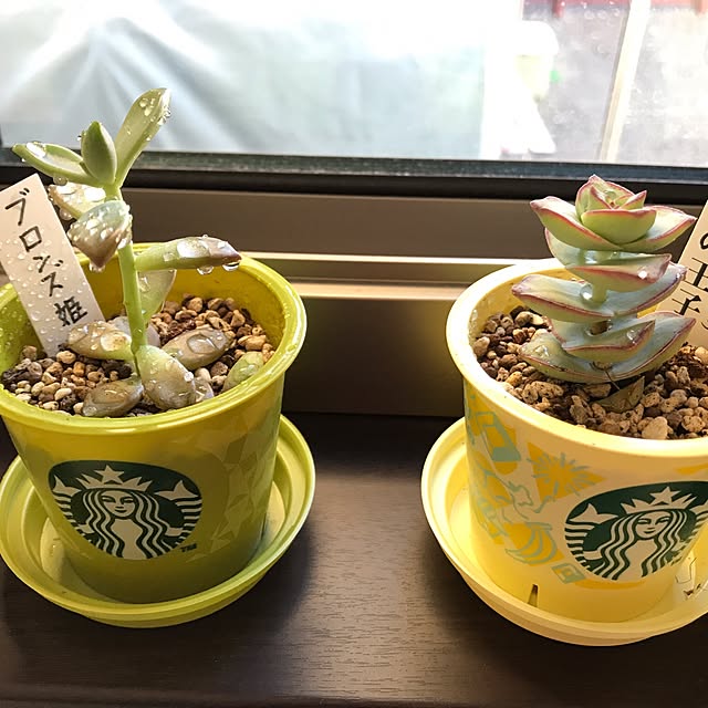 amucさんの実例写真