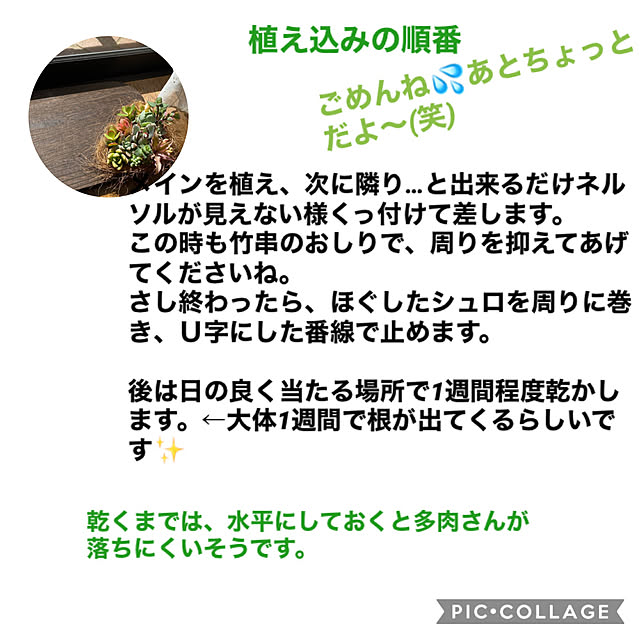 mimoza.さんの実例写真