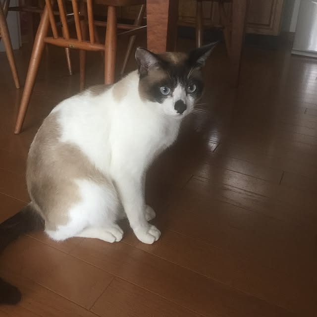 Masaruさんの実例写真