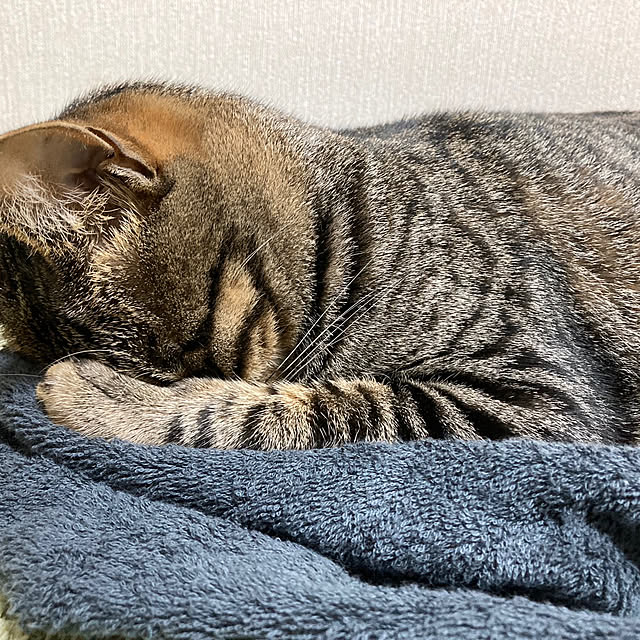 hookerさんの実例写真