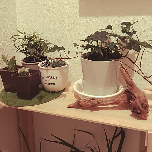 HANAさんの実例写真