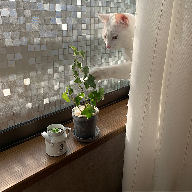 keiさんの実例写真