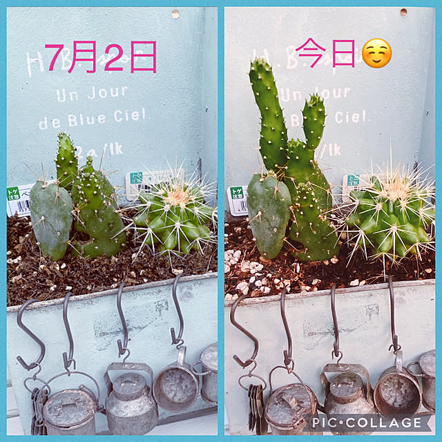 moolさんの実例写真