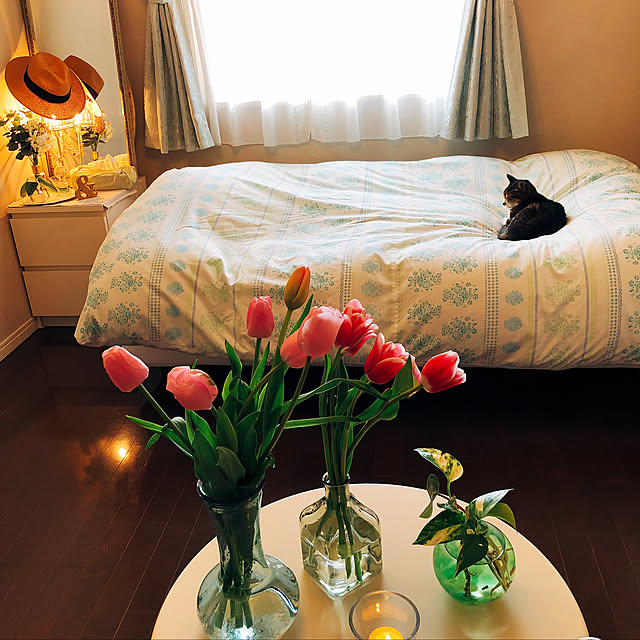 kafukaさんの実例写真