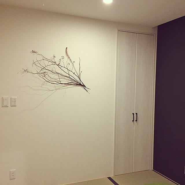 fukuさんの実例写真