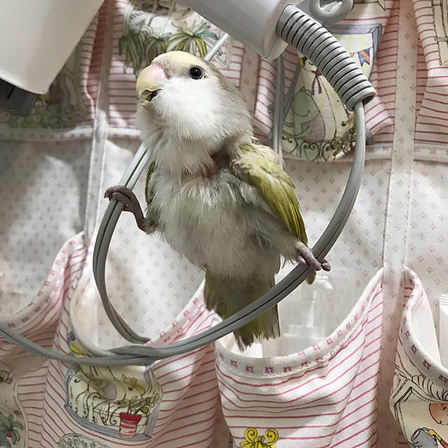 yu.さんの実例写真