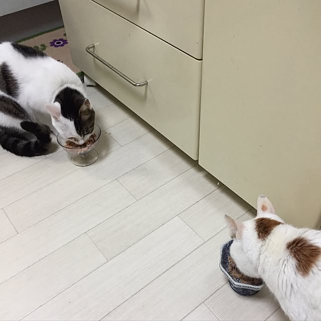 yocchiさんの実例写真