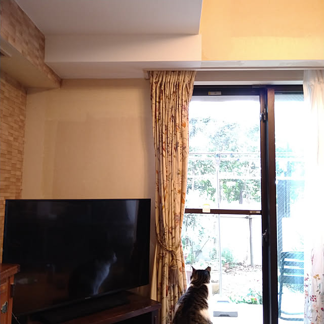 okyosan101さんの実例写真