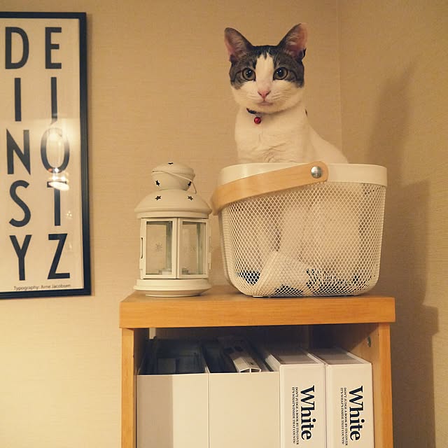 yossyさんの実例写真