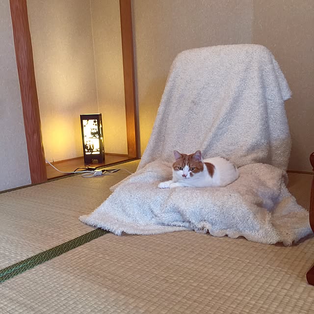 chi_kaさんの実例写真