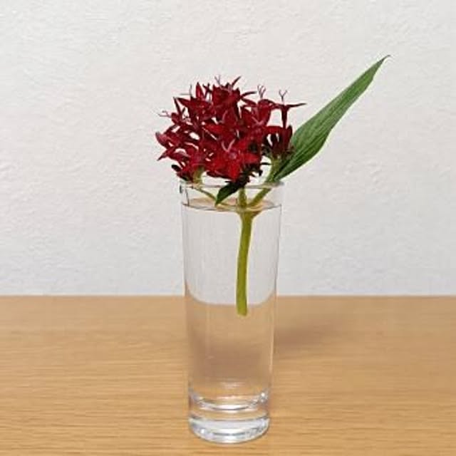 ohanaさんの実例写真