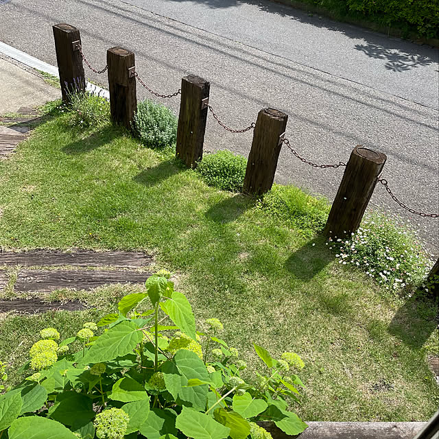 czuさんの実例写真