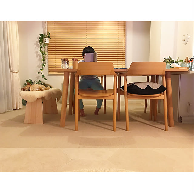 haruhinaさんの実例写真