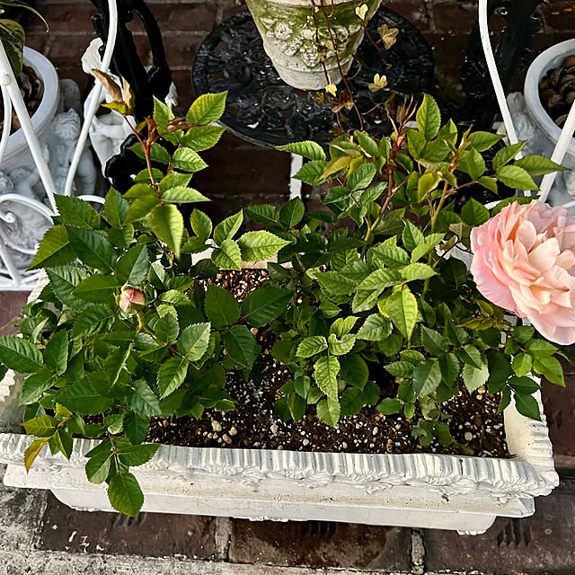 AYUKOさんの部屋