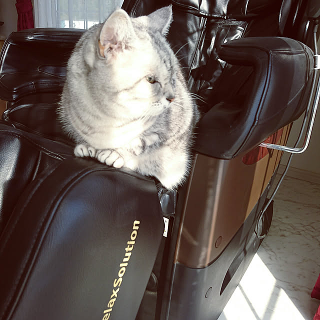 machikomamaさんの実例写真
