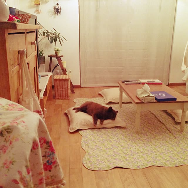 iwakoさんの実例写真