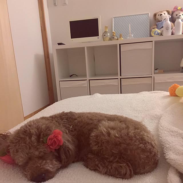 rie.ex77さんの実例写真