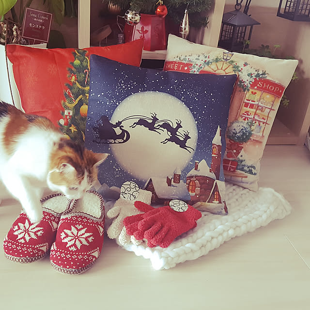 megu.catさんの実例写真